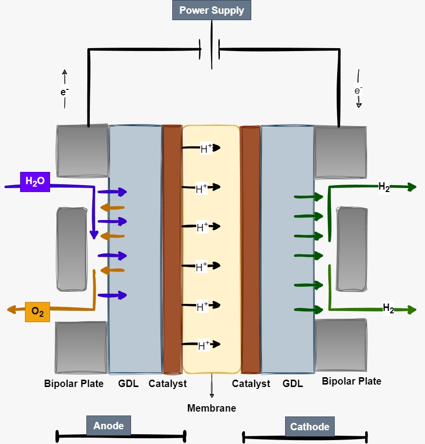 A model for green hydrogen production