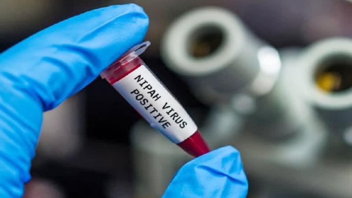 Nipah Alert