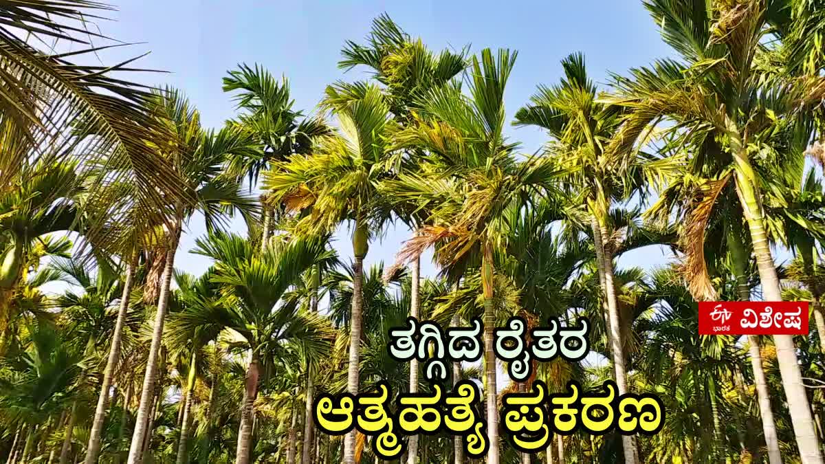 ಆತ್ಮಹತ್ಯೆಯ ಕುಣಿಕೆಯಿಂದ ದೂರ ಸರಿದ ಅನ್ನದಾತ; ದಾವಣಗೆರೆಯಲ್ಲಿ ಗಣನೀಯವಾಗಿ ಇಳಿಕೆ ಕಂಡ ರೈತರ ಆತ್ಮಹತ್ಯೆ ಪ್ರಕರಣ