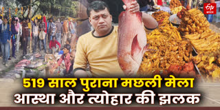 519 Year Old Festival Of Fish