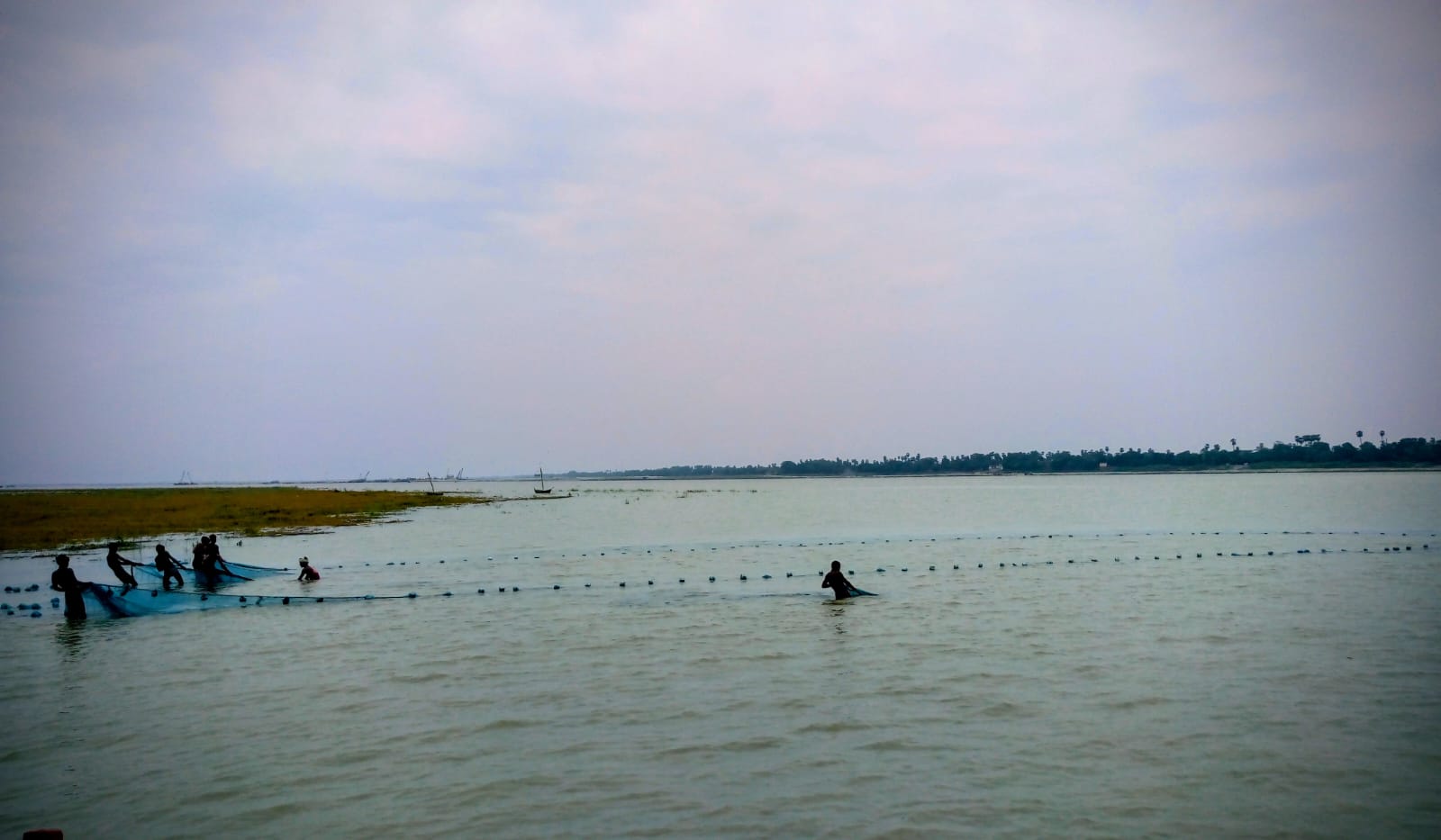 Migratory birds give a miss to Patna