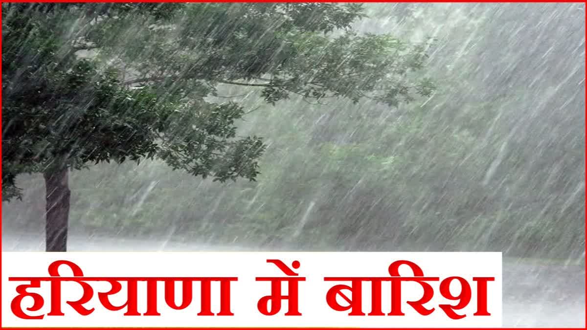 Haryana Weather Update