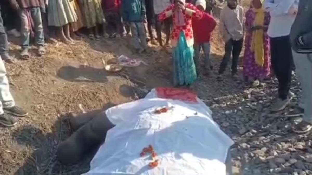 wild-elephant-baby-death-after-hit-by-goods-train-in-latehar