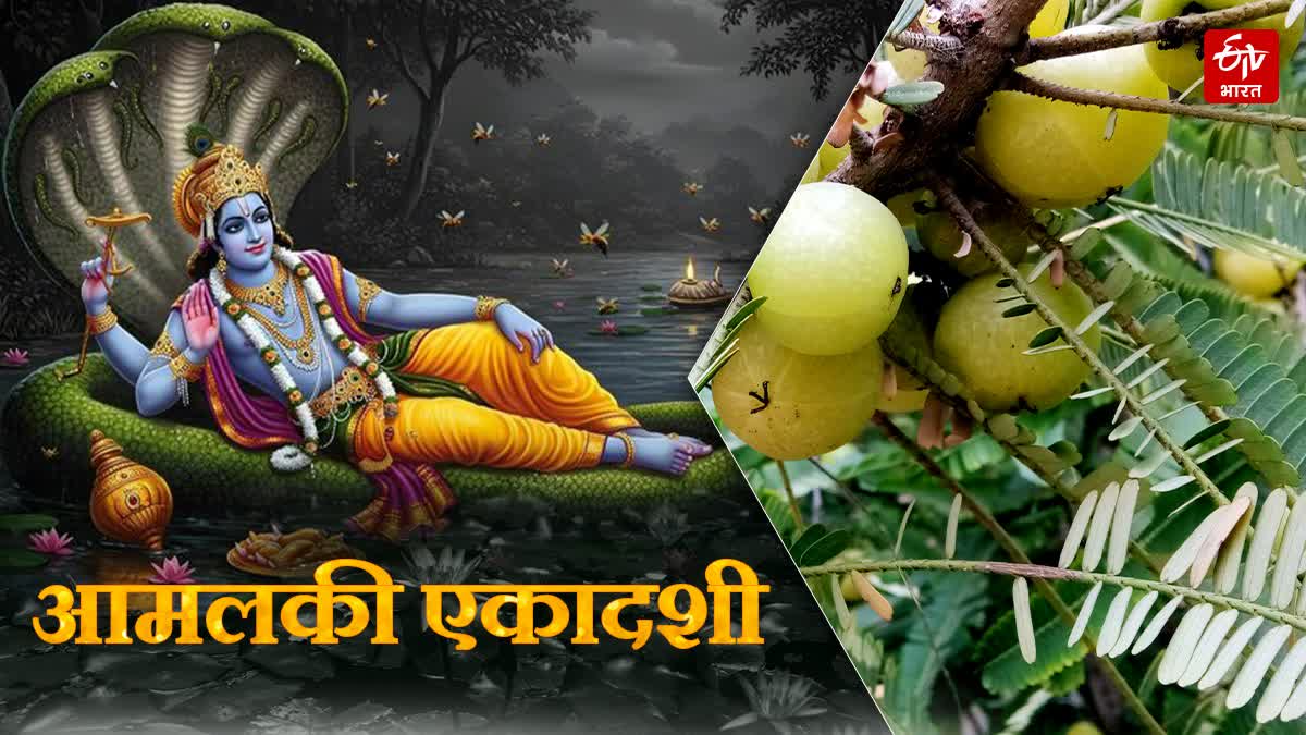 आमलकी एकादशी