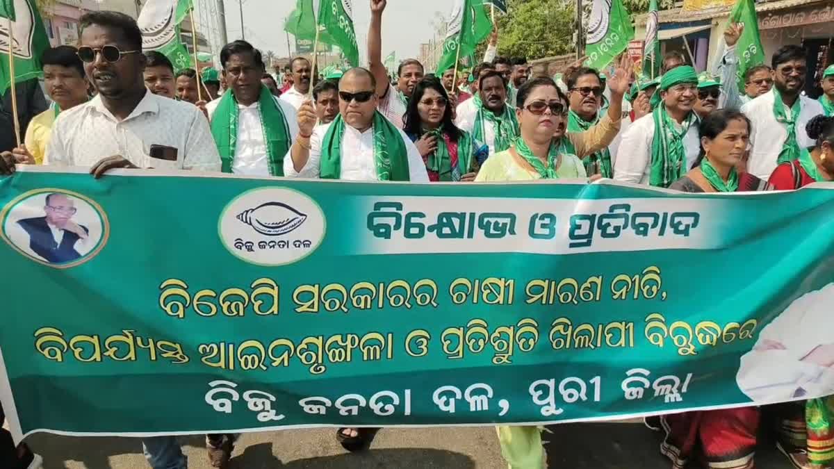 ମୁଣ୍ଡରେ ଧାନ ବସ୍ତା ରଖି ବିଜେଡିର ବିକ୍ଷୋଭ ପ୍ରଦର୍ଶନ