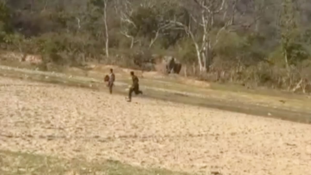 उत्तराखंड में पानी पीने आए हाथियों को शरारती युवकों ने छेड़ा, पीछे दौड़े तो हलक में आई जान