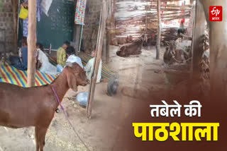 BARWANI SCHOOL IN CATTLE SHED