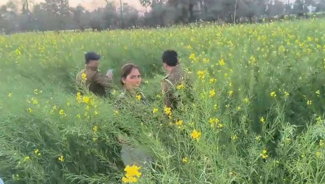 widow murdered in Gaya