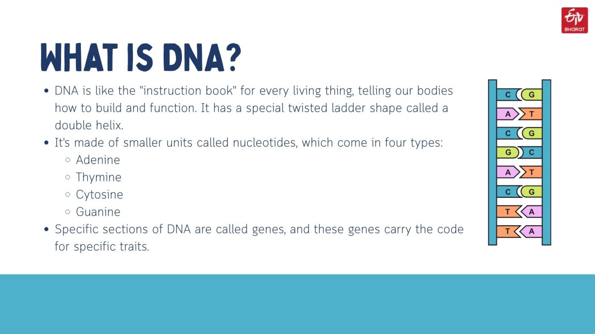 Infographic