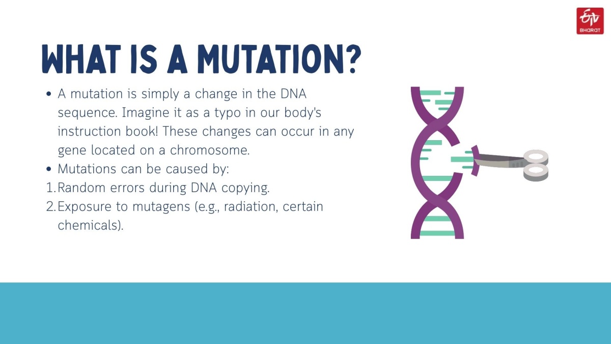 Infographic