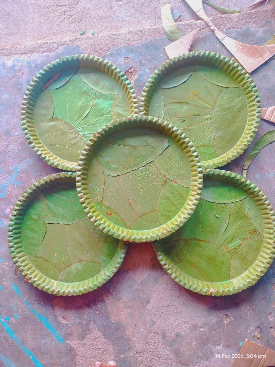 Eco-Friendly Leaf Plate Unit In Odisha Becomes Model of Women Empowerment, Seeks Government Support