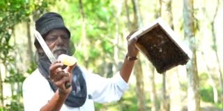 തേൻ ഗ്രാമം പദ്ധതി  വയനാട്  തേനീച്ച കൃഷി  നീർത്തട വികസന പദ്ധതി