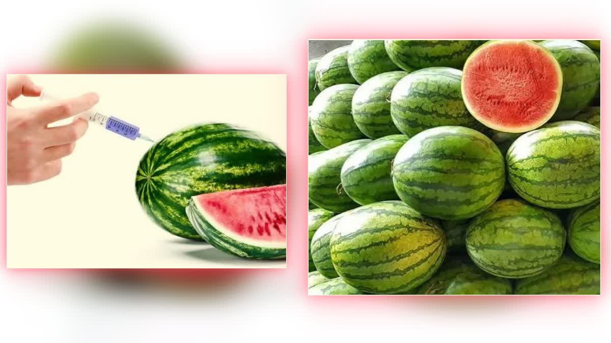 ಇಂಜೆಕ್ಷನ್ ಕೊಟ್ಟ ಕಲ್ಲಂಗಡಿ ಹಣ್ಣು ಗುರುತಿಸುವುದು ಹೇಗೆ? ಇಲ್ಲಿದೆ ಮಾಹಿತಿ ...