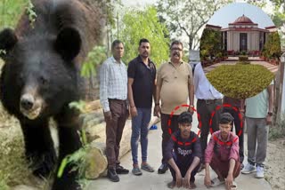 Case of brutal killing of bear