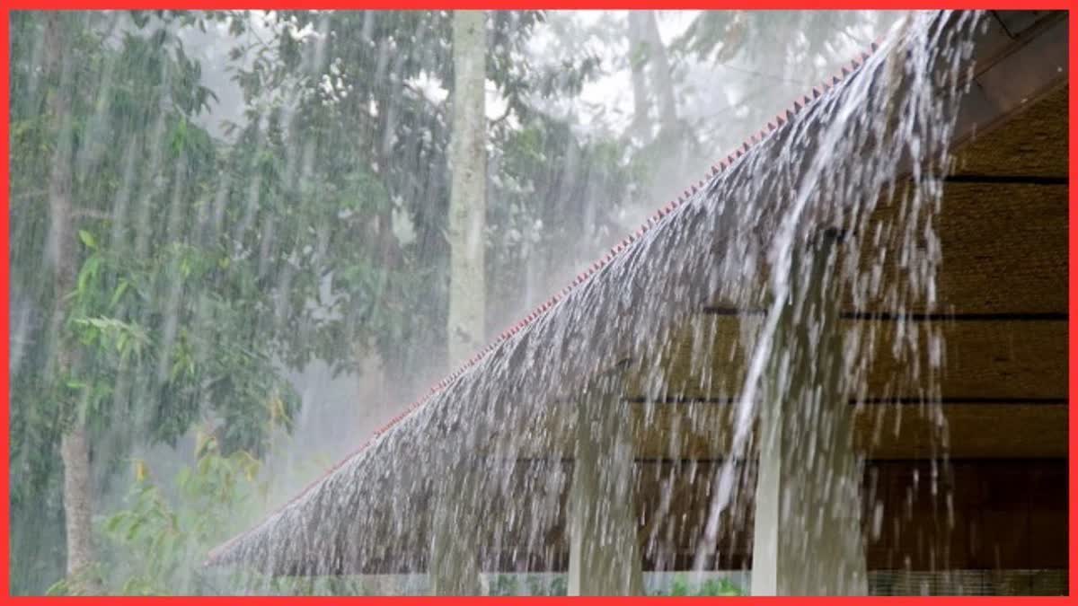 HARYANA RAIN ALERT