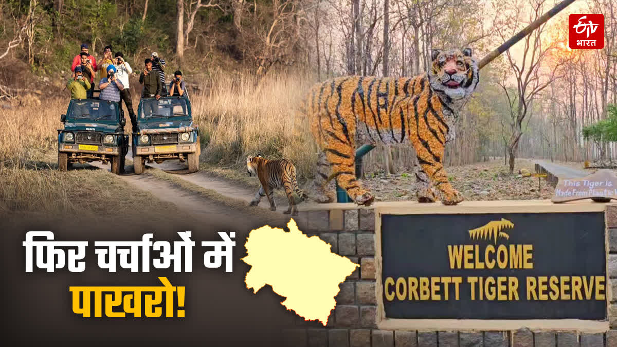फिर चर्चाओं में पाखरो टाइगर सफारी प्रोजेक्ट! पुरानी योजना, नई कोशिशें ...