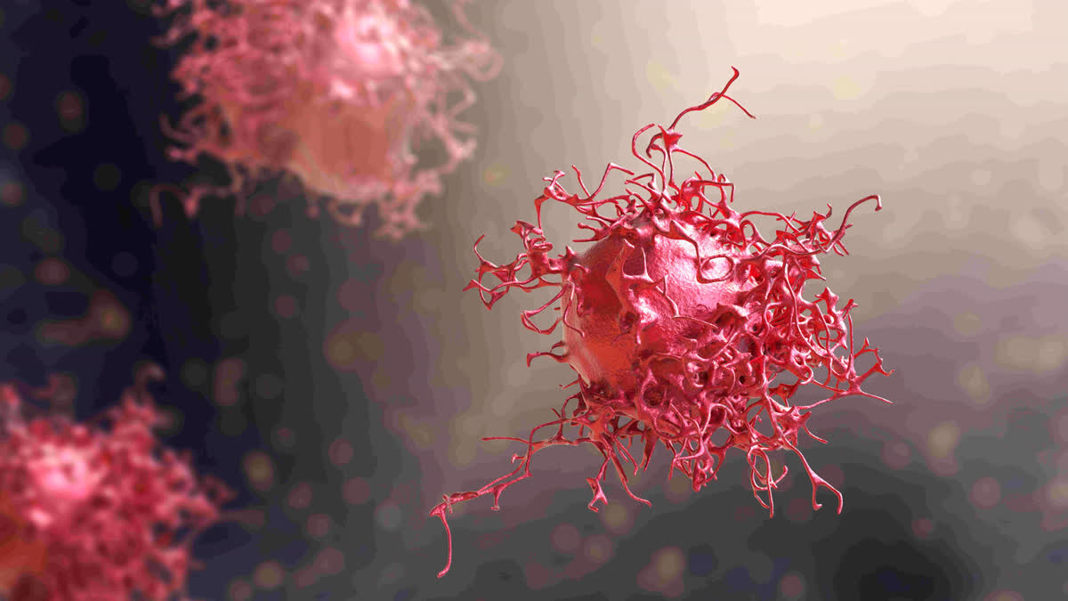 WHO CANCER REPORT  CANCER DISEASE  CANCER  ಕ್ಯಾನ್ಸರ್