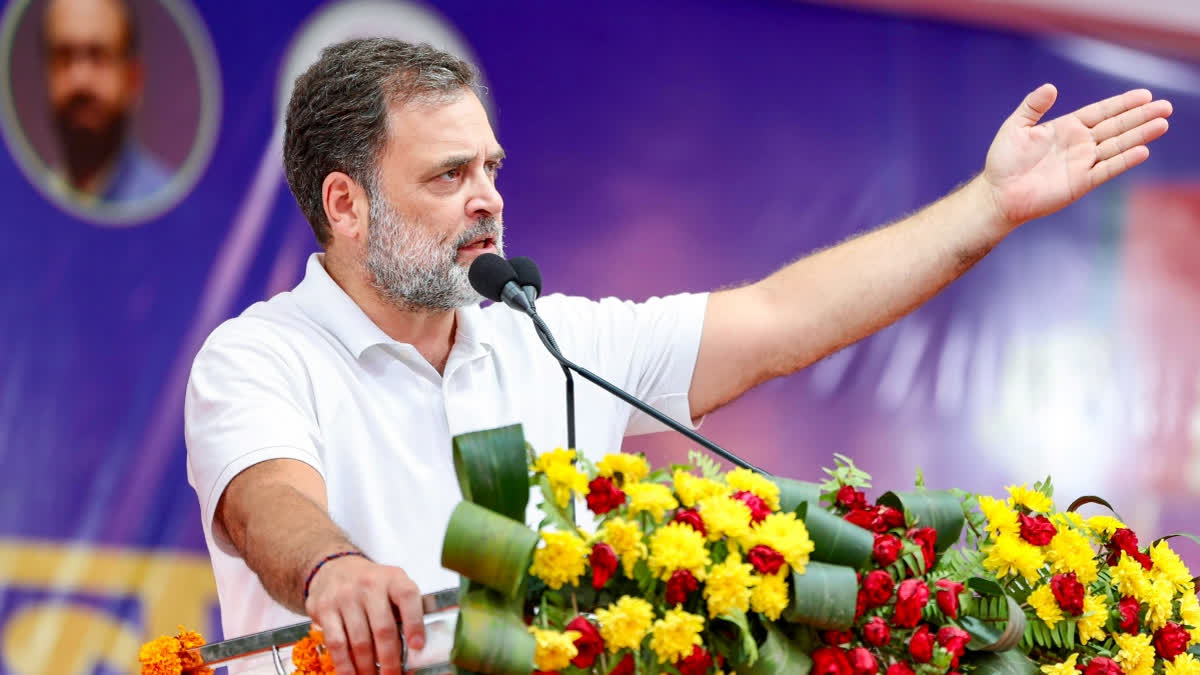 Allahabad HC Orders FIR Against Rahul Gandhi In Dual Citizenship Case