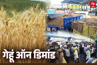 RATLAM 5 VILLAGES WHEAT DEMAND