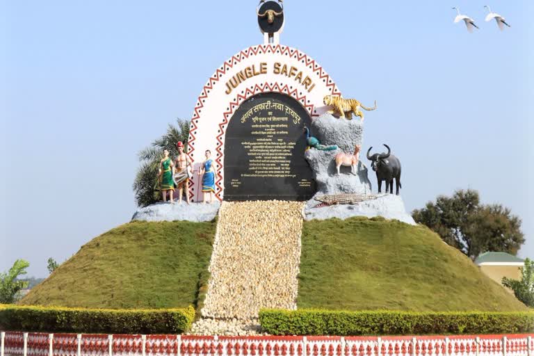 रायपुर जंगल सफारी में जेब्रा की मौत, स्नेक बाइट का हुआ शिकार