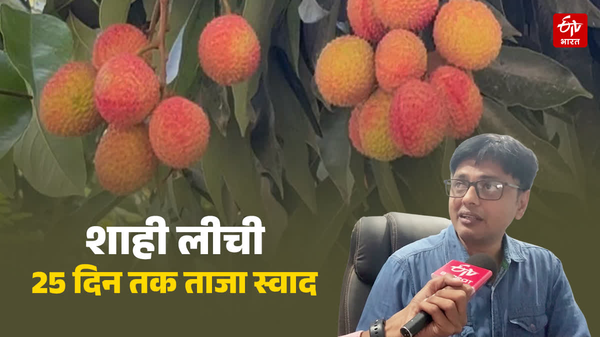 बिहार की शाही लीची 25 दिनों तक नहीं होगी खराब
