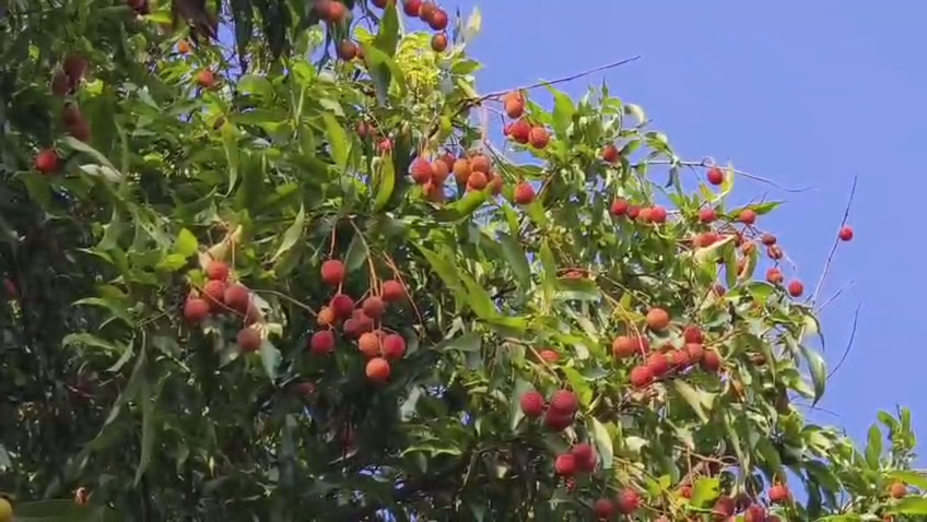 किसानों की सबसे बड़ी प्रॉब्लम सॉल्व