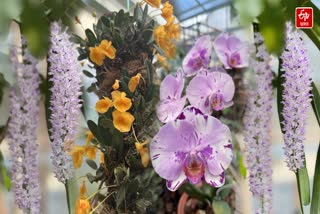 Orchid and Cactus park