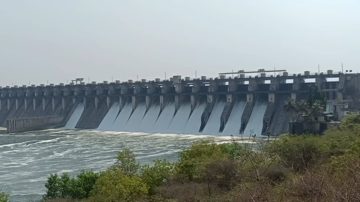 Ujani Dam filled to 50 percent in June itself