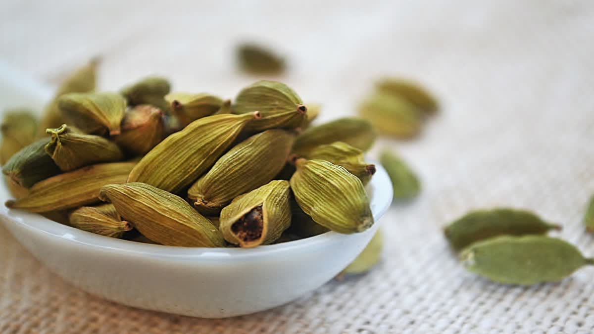 Health Lifestyle green-cardamom-find-out-the-methods