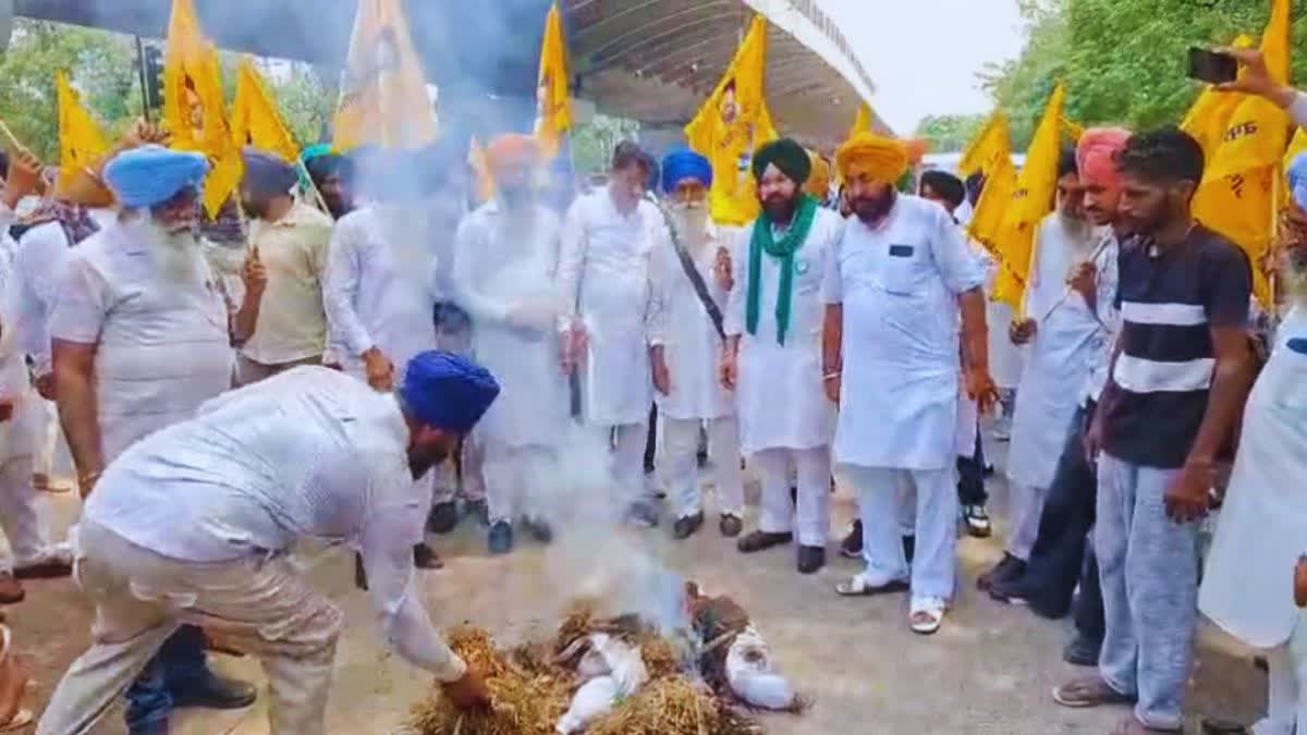 ਕਥਿਤ ਵੀਡੀਓ ਮਾਮਲੇ 'ਤੇ ਭਖੀ ਸਿਆਸਤ! ਪੰਜਾਬ ਭਰ ਵਿੱਚ ਰੋਸ ਪ੍ਰਦਰਸ਼ਨ, ਭਗਵੰਤ ਮਾਨ ਦੇ ਅਸਤੀਫ਼ੇ ਅਤੇ ਕਾਰਵਾਈ ਦੀ ਉੱਠੀ ਮੰਗ CM BHAGWANT MANN ALLEGED VIDEO CASE