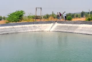 A view of Poly Pond in Aravalli district of Gujarat