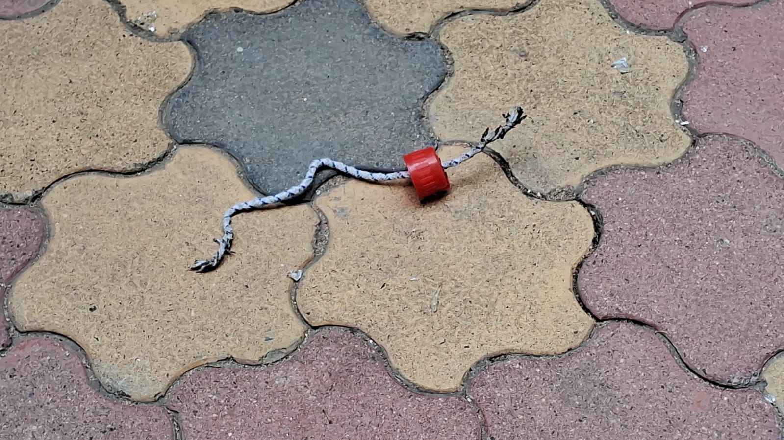 attempt-to-attack-rss-office-with-petrol-bomb-in-ranchi