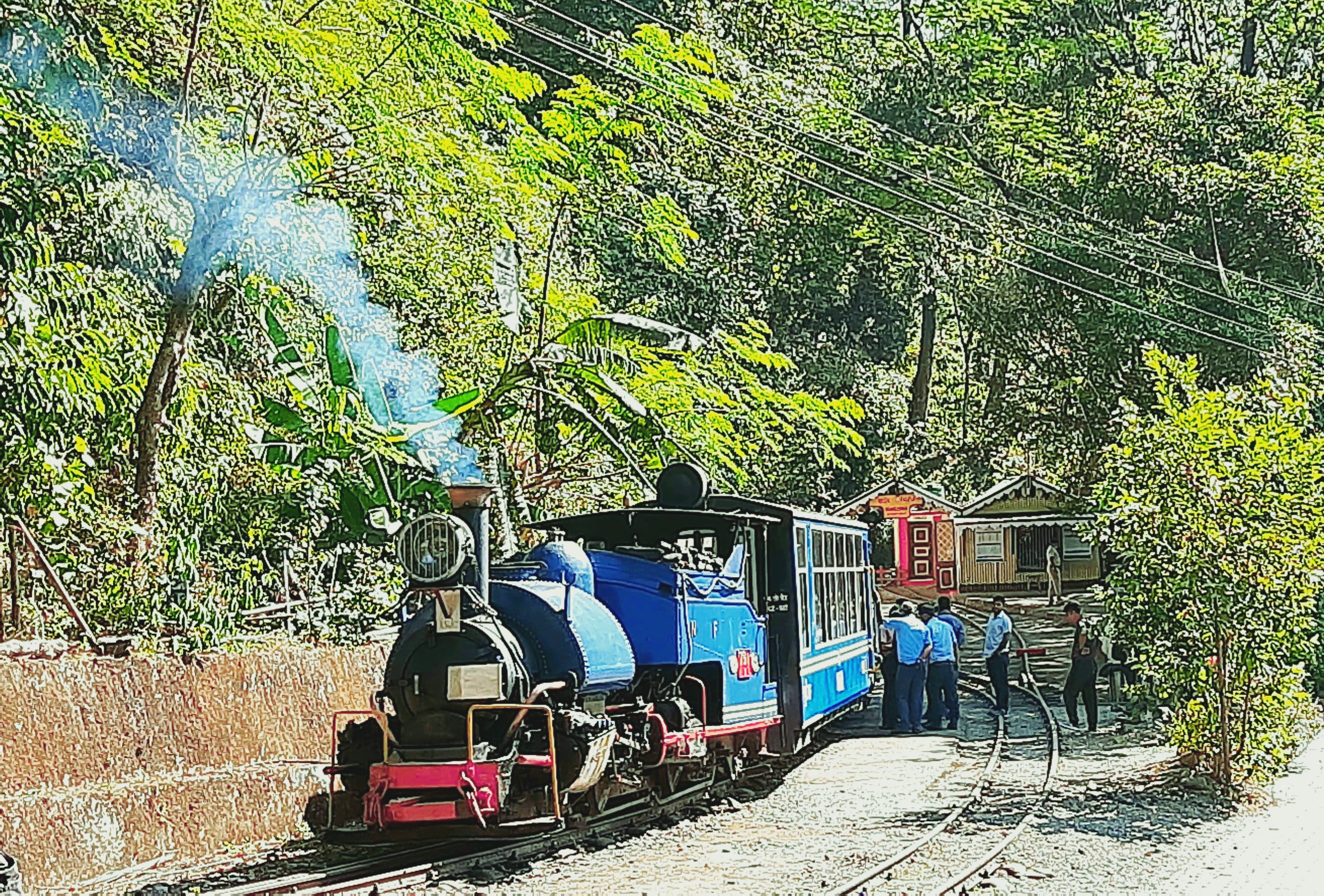 Darjeeling Himalayan Railway Toy Train