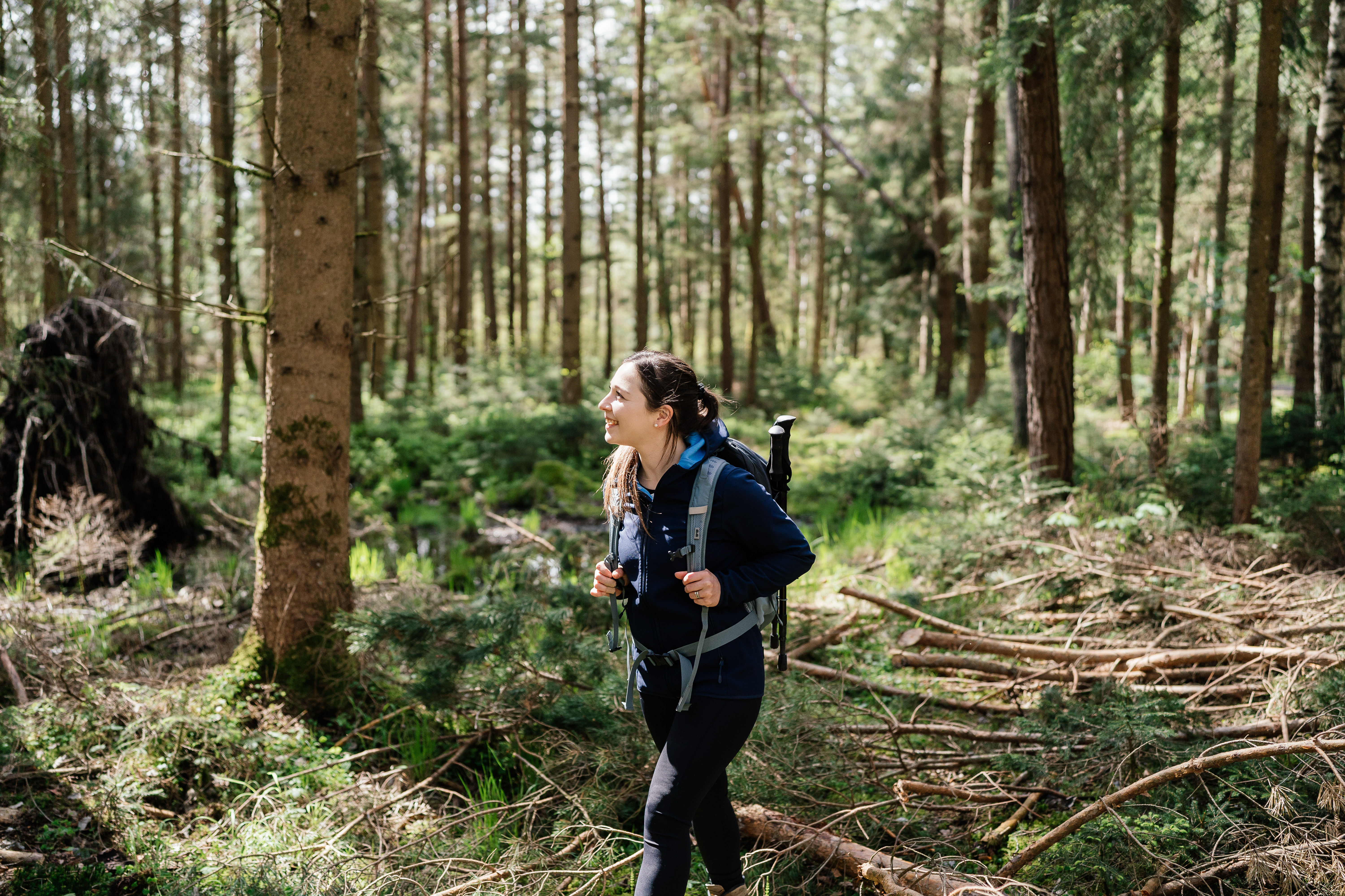 Spend a few minutes, each day, observing the natural world around you (Representational Image)