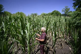 Leaking Pipes As Climate Warms: Bulgaria Faces Water Crisis