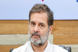 Rahul Gandhi Talking Of Corruption Is Like Thief Donning Watchman's Role: BJP