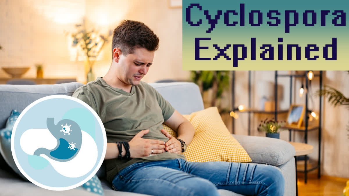 US Cyclospora Outbreak: All About The Foodborne Parasite That Attacks Most In Rainy Weather