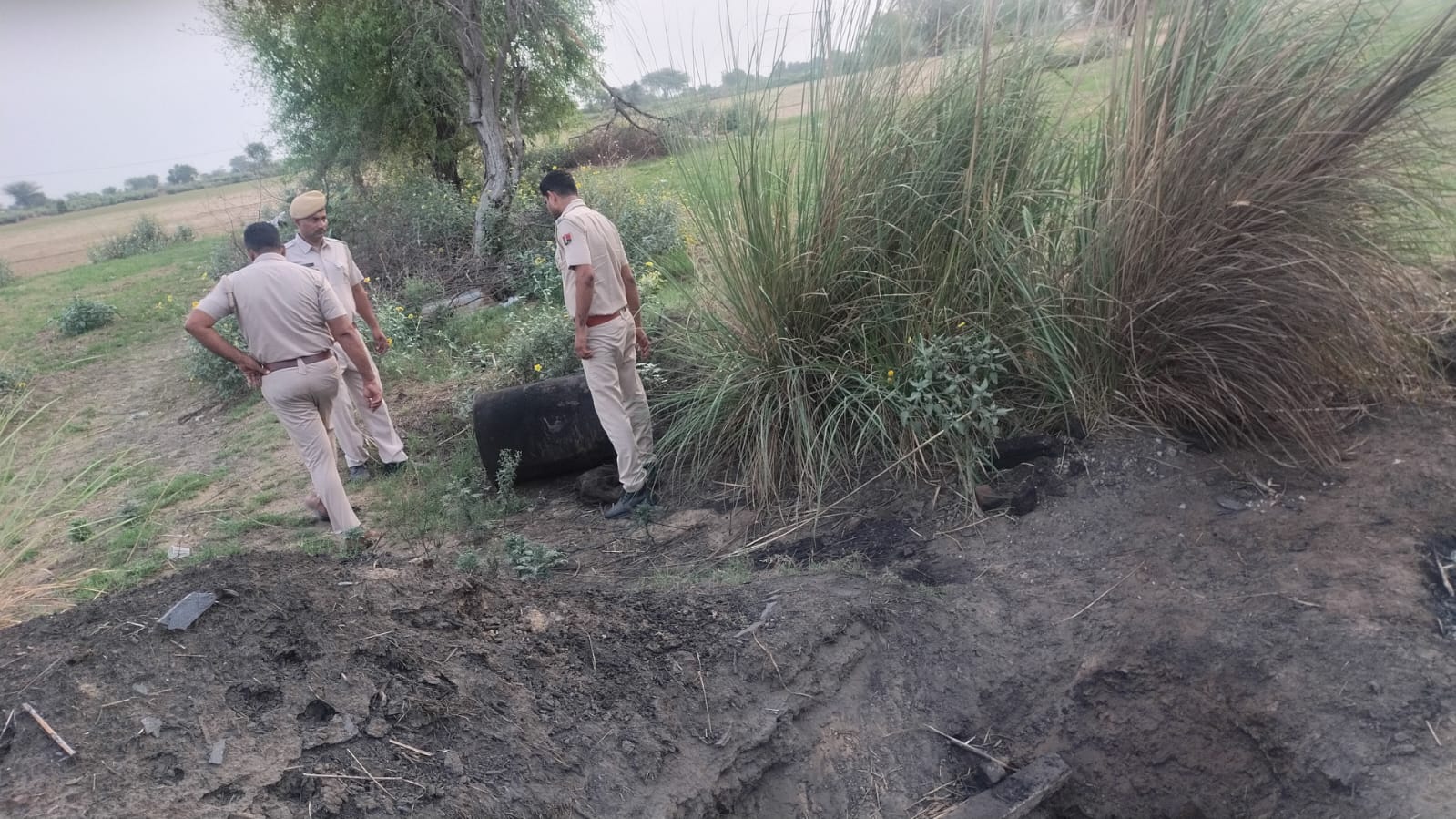 803 miscreants arrested