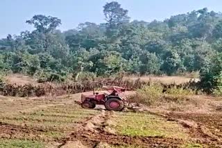 Jharkhand CID pre cultivation operations against illegal opium