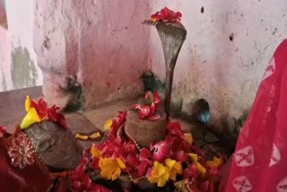 बद्री विशाल शिवालय