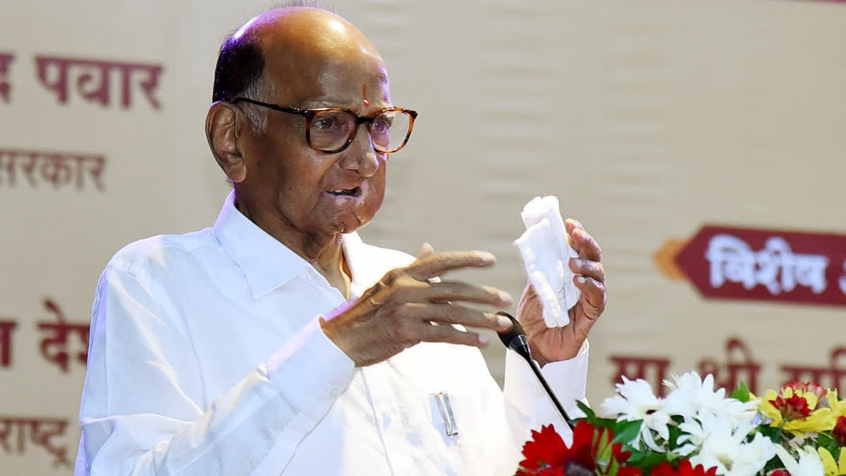 Consensus In MVA On 200 Out Of 288 Assembly Seats In Maharashtra: Sharad Pawar Consensus In MVA On 200 Out Of 288 Assembly Seats In Maharashtra: Sharad Pawar