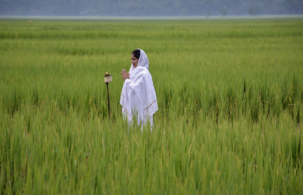 5 traditional foods prepared on Kati Bihu 2024