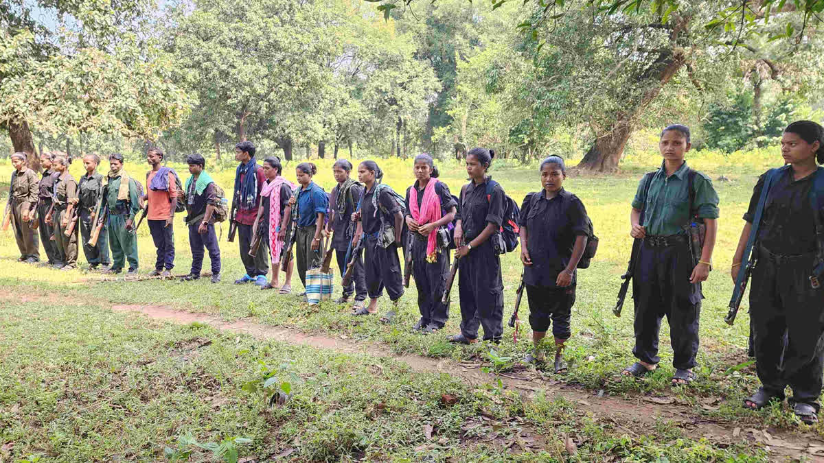 ETV Bharat News - Business - News Image