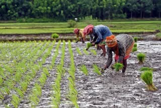 MODERN TECH IN FARMING