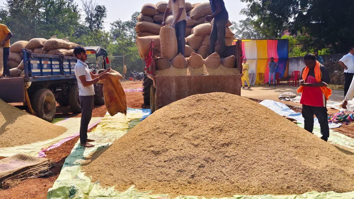 छत्तीसगढ़: धान खरीदी में लापरवाही पर बड़ी कार्रवाई, 4 कर्मचारी सेवा से बर्खास्त