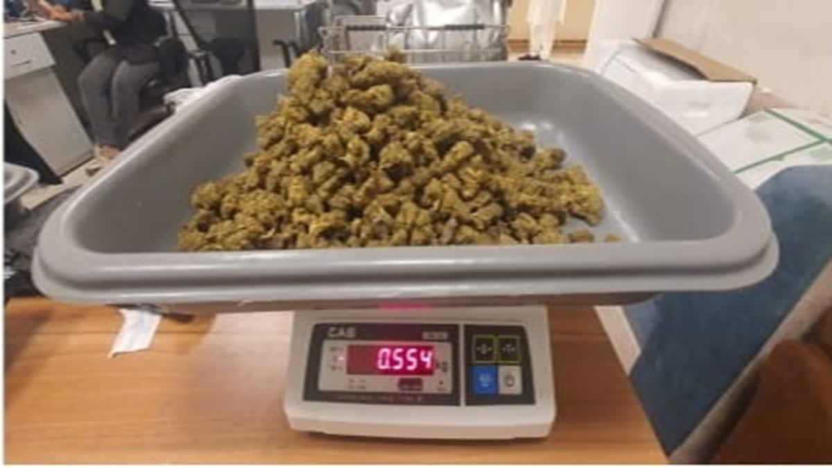 சென்னை விமான நிலையத்தில் ரூ.1.01கோடி கஞ்சா பறிமுதல்; வடமாநில இளம்பெண் கைது