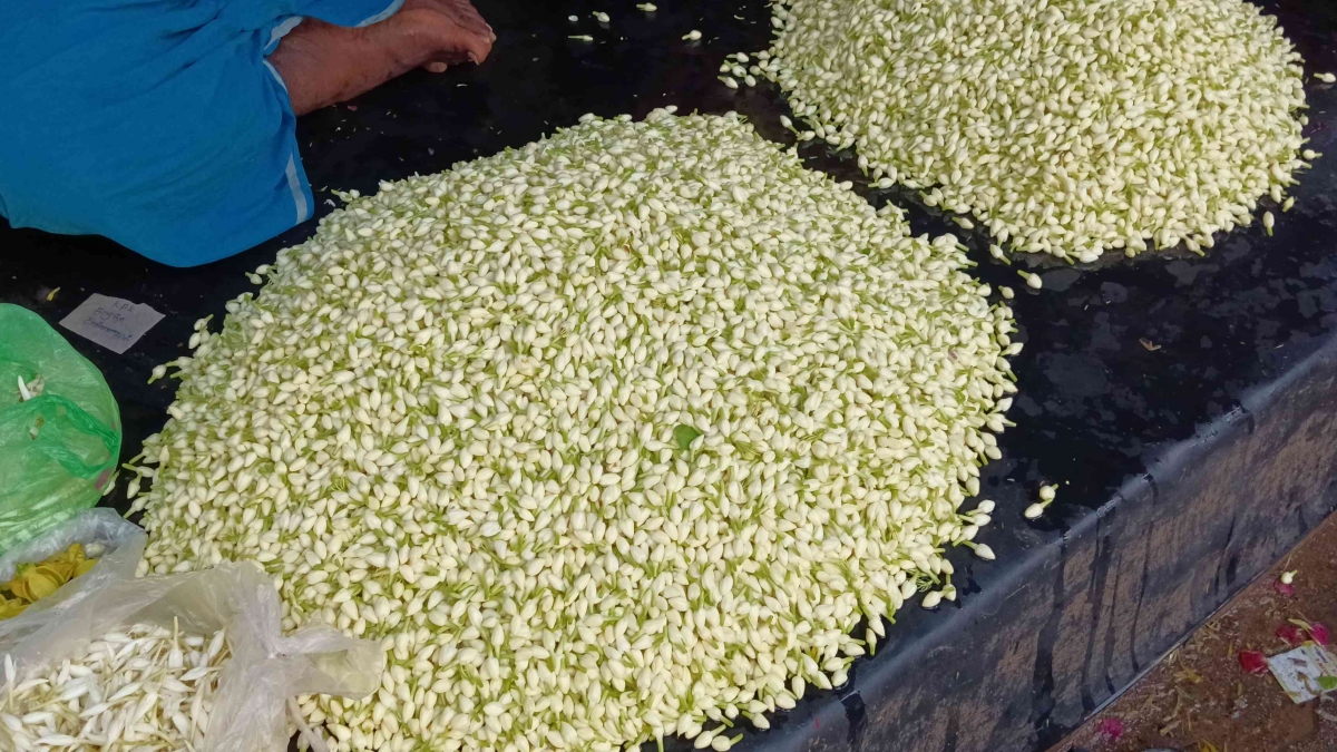 மதுரை மல்லி