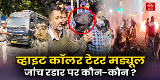 Action in white collar terror module