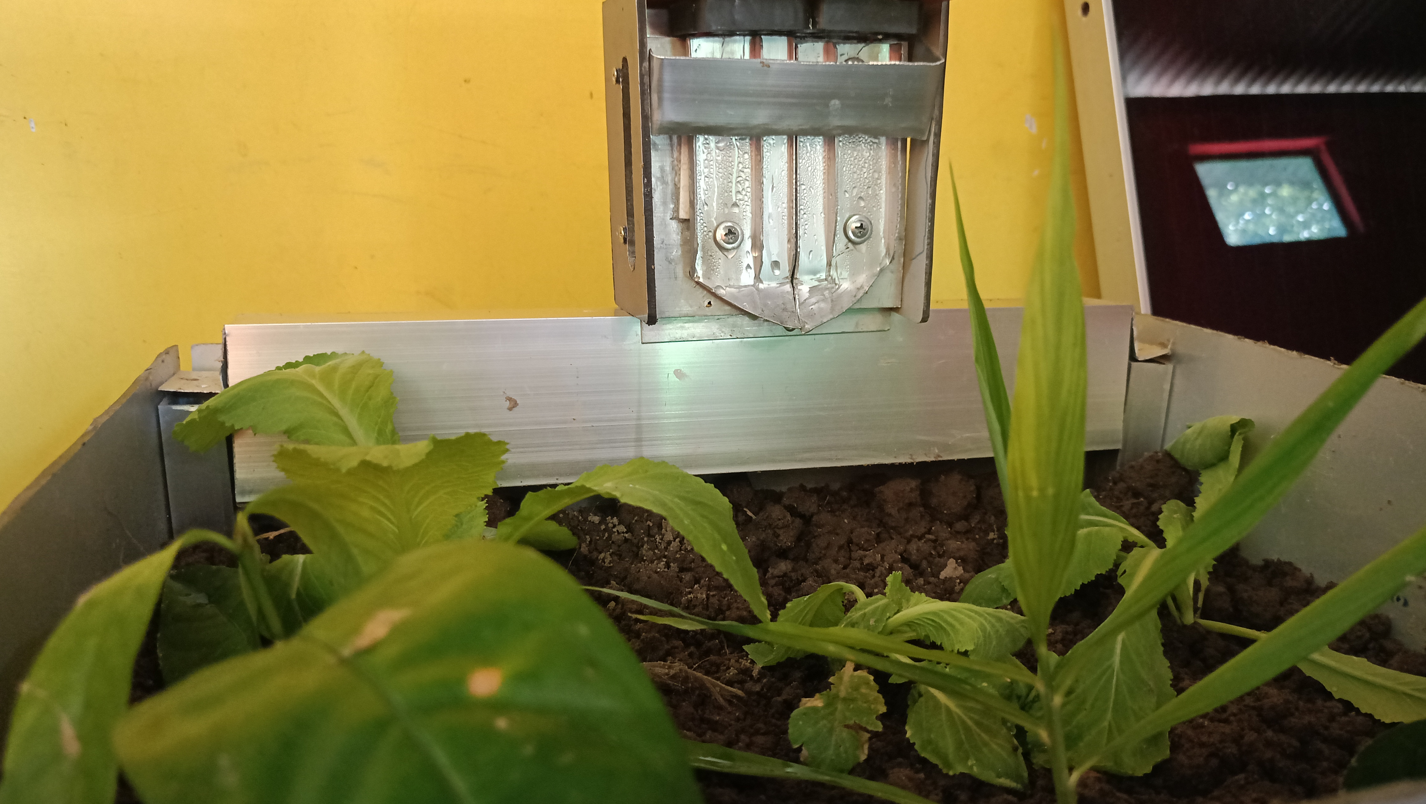 Solar Pot with Sapling Watering Facility