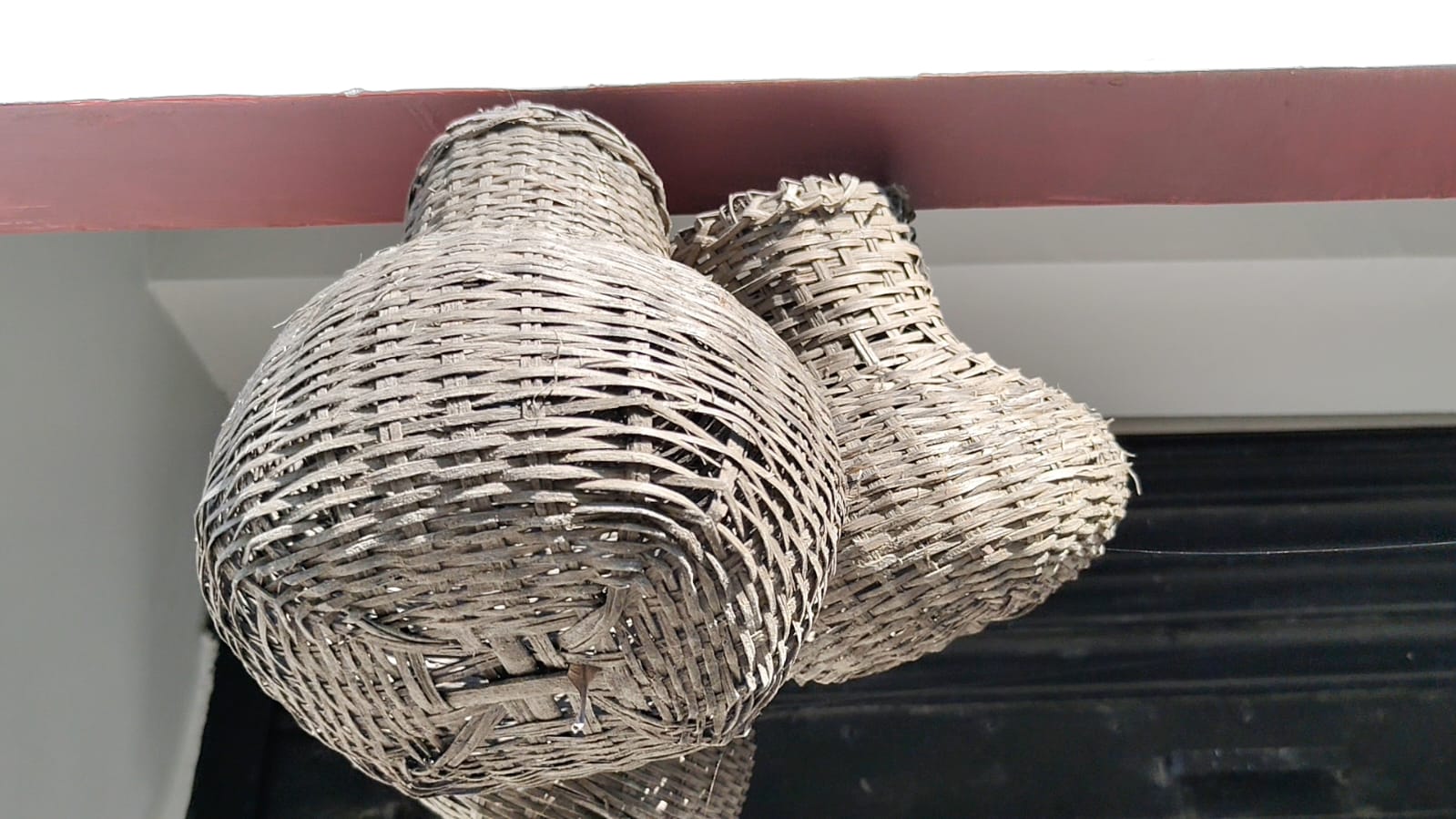 Assamese rare traditions